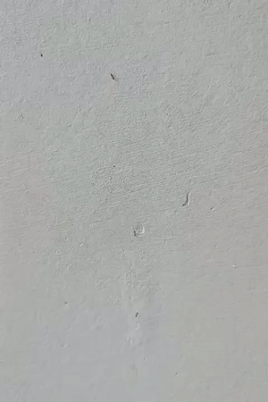 Everyday moments captured in Lhokseumawe: insects, street scenes