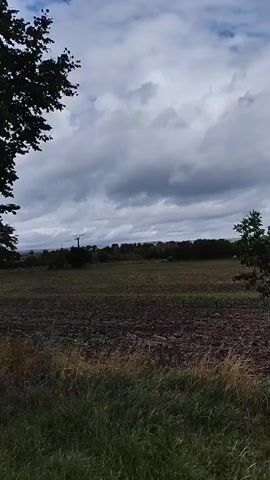 The video pans across a field with dark soil, likely recently plowed, under a cloudy sky. In the foreground, tall grass lines the bottom edge of the frame. In the middle ground, a few scattered trees are visible, with one sapling swaying in the wind. In the distance, a line of trees and some buildings can be seen. A single utility pole with wires is also visible in the far distance. The overall scene depicts an open, rural landscape.