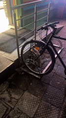Stray cat shelters in bike rack on wet Plovdiv street