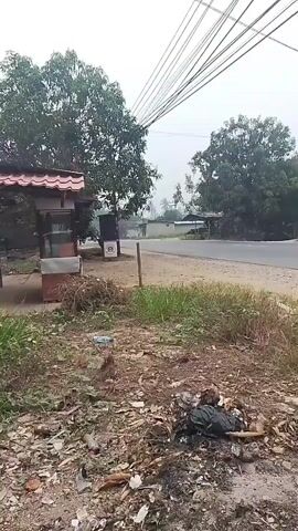 This video shows a roadside scene with a small structure on the left, possibly a vendor stall, with some debris in the foreground. A paved road runs horizontally across the frame, with trees and more structures in the background. Several vehicles are visible on the road: a black van passes by, followed by a motorcycle with two people on it, and another motorcycle with one person. Overhead, a tangled network of power lines stretches across the sky. The lighting suggests it is daytime, possibly overcast.