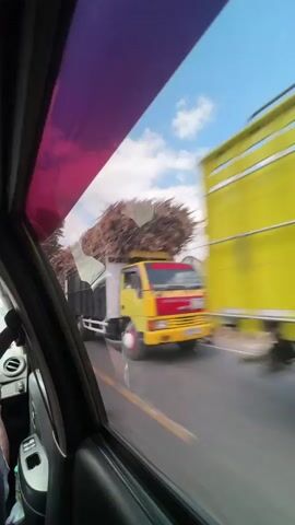 The video shows a view from inside a car, looking out the passenger side window. The scene is a street in Gambirono, Indonesia, likely during the daytime given the bright sunlight and blue sky with scattered clouds. The road appears to be paved and there is other traffic on it.

The primary activity is the car moving along the road, indicated by the motion blur of passing vehicles and scenery. Several vehicles are visible:

*   A large truck loaded with what appears to be lumber or agricultural material is the first prominent vehicle.
*   A yellow truck with a green cargo bed, partially covered with a white tarp, follows. Clothes are hanging from the side of its cargo.
*   A dark-colored SUV or minivan is seen.
*   Another dark-colored vehicle, possibly an SUV or truck, is also visible.

The setting includes buildings along the roadside, trees, and utility poles with wires. The overall impression is a typical street scene in a town or village. The time of day seems to be late morning or afternoon, judging by the quality of light. The mood appears ordinary and functional, depicting everyday travel. There is no discernible text in the video. The purple tint at the top of the window frame suggests a car accessory or tinting.