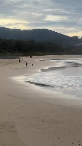 The video shows a wide beach with a gentle tide. Several people are walking along the shoreline in the distance, some with dogs. The sky is overcast with muted sunlight, and a lush green forest borders the beach, backed by rolling hills. The waves are small and lapping. The overall atmosphere is peaceful and serene.