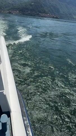 A boat is moving through the water, creating a wake. The camera is positioned on the side of the boat, looking out at the water and the shore in the distance. The shore is lined with trees and some buildings. The water is choppy and reflects the sunlight. The sky is blue and clear.