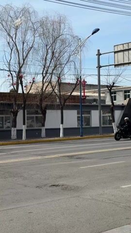 A person in a helmet and dark clothing drives a motorcycle along a road next to a building with a white-and-gray facade. The trees along the road have red spherical ornaments hanging from their branches. A red pole with yellow bands appears on the right side of the screen. As the motorcycle continues moving, a black SUV appears on the left side of the screen.