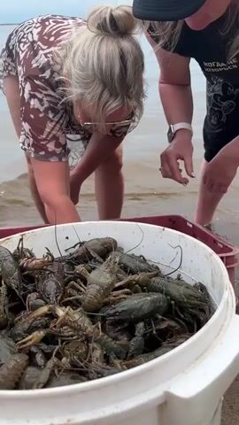 Two women are on a sandy shore, facing a body of water. A large white bucket is in the foreground, filled with live crawfish. One woman, with blonde hair pulled up in a bun, is wearing sunglasses and a patterned dress, and is reaching into the bucket. The other woman, wearing a black lace-trimmed top, is holding a crawfish in her hand and looking at it. A red crate is behind the bucket, also containing crawfish. In the background, the water is rippling, suggesting a gentle wave action. The sky appears overcast, indicating a cloudy day. The overall scene suggests a crawfish catching or harvesting activity. There is no visible text in the image.