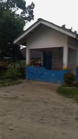 The video shows a low-quality, shaky, blurry recording of an outdoor scene, likely from a moving vehicle. A dirt or gravel road is visible in the foreground. To the right, there is a building with a white wall and blue trim. Green foliage, including trees and bushes, occupies the left and central portions of the frame. A palm tree is prominently featured in the middle ground. The lighting suggests it is daytime, possibly overcast. The overall impression is of a rural or suburban environment.