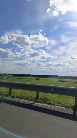 A vertical video captures a view from a moving vehicle. In the foreground, the asphalt road and a metal guardrail are visible. The guardrail has red reflectors. Beyond the guardrail is a flat, green field with scattered trees. The sky is bright blue with scattered white, fluffy clouds. The sun is shining, casting shadows. The overall impression is a sunny day in a rural landscape.
