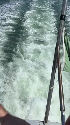 The video shows the wake of a boat on the water. The camera is positioned at the back of the boat, looking out over the water. There are metal railings visible on the right of the screen. In the distance, a building can be seen along the coastline. Three other boats cross the wake. The sky is clear and blue.