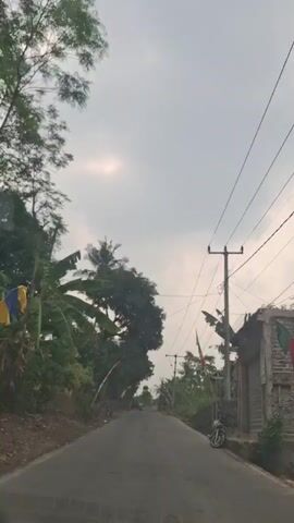 The video shows a view from a moving vehicle on a paved road. On the left side of the road, there are trees, some of which have large leaves, possibly banana trees. There are also flags or banners on poles along the side of the road. On the right side of the road, there are more trees, a utility pole with power lines, and a building with a corrugated metal shutter. The sky is overcast with some patches of sunlight visible. The road appears to be in a rural or semi-rural area. There are no people clearly visible in the video, although there may be distant figures on motorcycles further down the road. The overall impression is of a scenic drive through a verdant landscape under a cloudy sky.