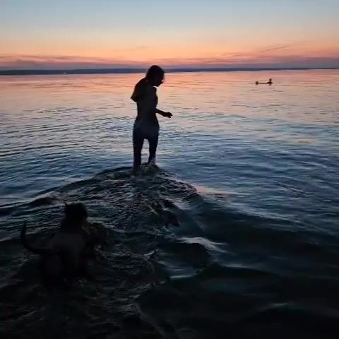 A silhouette of a person in a bathing suit walks into the water. A dog is in the water next to the person. The sun is setting, casting a pink and orange glow on the horizon. There are a couple of other people swimming in the distance. The water is calm with gentle ripples.