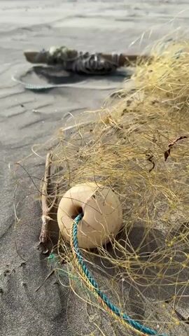 The video shows a close-up view of a fishing net and a float lying on a sandy beach. The net is made of yellow mesh and is tangled with debris, including small pieces of wood and what appear to be dried plant matter. A white, round fishing float with a blue and yellow rope threaded through it is prominently featured in the foreground. In the background, a blurred wooden object, possibly part of a fishing apparatus, is visible. The sand has visible ripples and texture, suggesting it is a natural beach environment. The lighting indicates it is daytime, with sunlight casting shadows. There are no people or animals visible in the frame. The overall scene depicts discarded fishing equipment on a beach.