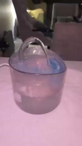 The video shows a cat water fountain. The fountain is made of a greyish-clear plastic and is cylindrical. Water is seen flowing from the top spout and circulating within the container. The fountain is placed on what appears to be a white towel. In the background, out of focus, are furniture items, including chairs. The lighting is dim, with a yellow glow from an unseen source.