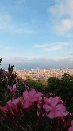 Elevated views capture Barcelona cityscape with Sagrada Familia visible