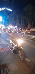 Decorated vehicle parade with motorcycle escort in Da Lat