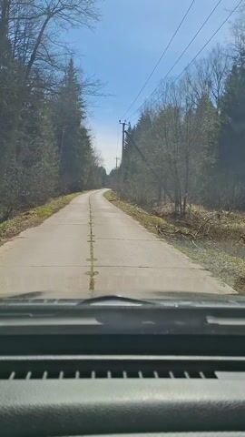 The video captures a first-person perspective from inside a moving vehicle, looking ahead through the windshield. The vehicle is traveling on a narrow, paved road, likely constructed from concrete sections, as indicated by the visible transverse joints. The road is surrounded on both sides by a dense forest composed of tall evergreen and bare deciduous trees. A clear, bright blue sky is visible above, suggesting a sunny day. Power lines and utility poles run alongside the right side of the road. No people or visible text are present in the frame. The scene depicts a drive through a wooded, rural area.