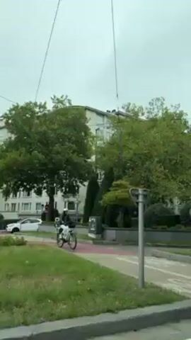 The video depicts a street scene taken from what appears to be the inside of a moving tram or train. On the left, a person is riding a bicycle on a designated bike path.  A yield sign is visible next to a blue directional sign.  As the tram moves forward, two people can be seen walking across the tram tracks at a pedestrian crossing. The scenery consists of trees, hedges, buildings, tram wires overhead and a street lamp. The day appears overcast.