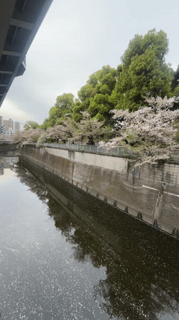 Canal with floating objects observed in Bunkyo City, Japan