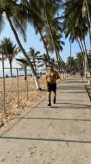 Nha Trang beachfront promenade, evening activity along the palms