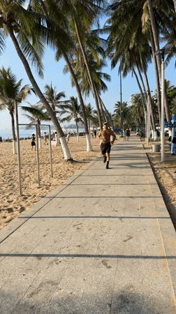 Nha Trang beachfront promenade, evening activity along the palms