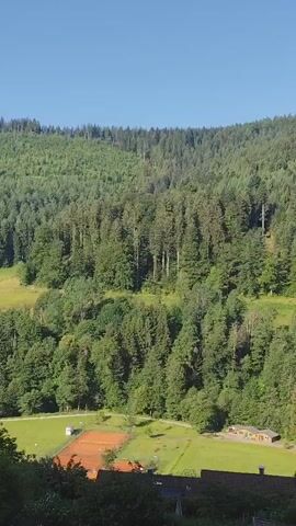 The video shows a pastoral landscape with rolling green hills and dense evergreen forests under a clear blue sky. Several houses with dark roofs are nestled into the hillsides. In the mid-ground, there is a patch of green lawn and what appears to be a tennis court with red clay surfaces. The foreground is dominated by dark green foliage and the edge of a dirt path. The scene is static, with no discernible action or interaction taking place. The overall impression is one of a tranquil rural setting.