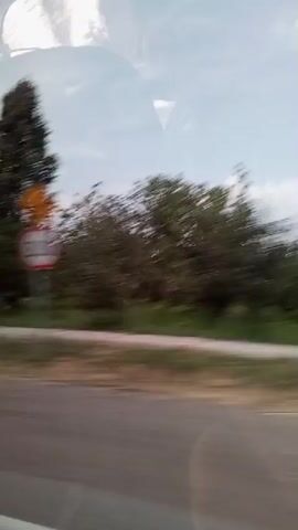 The video shows a roadside view from a moving vehicle. Tall, thin trees with green foliage are visible on the left side of the frame, with shorter, denser trees and bushes to the right. A dirt road or path runs parallel to the paved road the vehicle is presumably on. The sky is partly cloudy with a bright blue sky visible. The camera movement suggests the video was recorded from a car, bus, or train, and the blurring of the scenery indicates motion. There are no people or discernible objects in the foreground or the immediate roadside environment. The time stamp indicates the video is very short, approximately 4 seconds long.