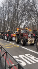 Farmers protest with red tractors in central Madrid streets