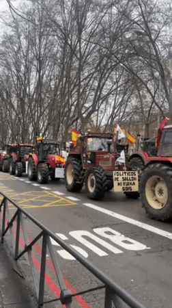Farmers protest with red tractors in central Madrid streets