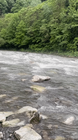 Woman documents riverside visit in Sochi recreational area