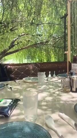The video shows a table set for a meal outdoors. A white tablecloth covers the table. There are several glasses and plates on the table, along with silverware and a napkin dispenser. A package of wet wipes is also visible on the table. In the background, there is a bench with patterned cushions and a decorative metal railing. Lush green foliage from weeping trees hangs over the scene, creating a shaded atmosphere. The sunlight filters through the leaves, casting dappled shadows on the table.