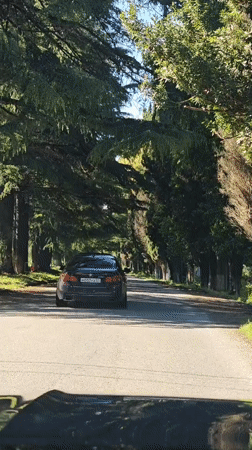 Black car observed on tree-lined road in Abkhazia