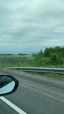 This is a vertical video of a view from inside a moving vehicle, looking out the passenger window. A black side-view mirror is visible in the lower left corner. The road appears to be asphalt with a white line marking the edge. Beyond the road is a grassy field filled with numerous purple flowers, likely lupines. In the distance, more fields, trees, and a utility pole with power lines are visible under a cloudy sky. The overall scene depicts a rural landscape during daytime.