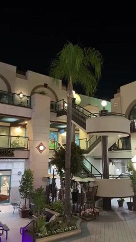 This video shows an exterior courtyard at night. The courtyard features a tall palm tree in the center, surrounded by decorative plants and a small water feature. There are buildings on multiple levels surrounding the courtyard, with balconies and staircases visible. Lights illuminate the buildings and courtyard. A sign for "NEW LOOK SKIN CENTER" is visible on one of the ground-floor storefronts. There are no people or animals visible in the video.