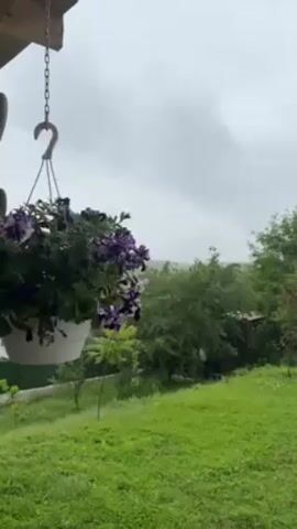 Here is a detailed description of the video:

The video shows a tranquil outdoor scene on a cloudy day. A hanging basket of purple and white flowers sways gently from a chain, suspended from an unseen structure above. The flowers are the focal point in the foreground. 

Beyond the hanging basket, a lush green lawn stretches out, dotted with a few small saplings. In the midground, there are various trees and shrubs that fill out the landscape. The background features an overcast sky with gray, heavy clouds. This suggests that it might be raining or has recently rained. 

The camera is stable, and the view is static, creating a sense of calm and observation. The sound of what appears to be machinery can be heard in the background. Overall, the setting evokes a peaceful atmosphere, contrasting with the grayness of the sky and the ambient noise.