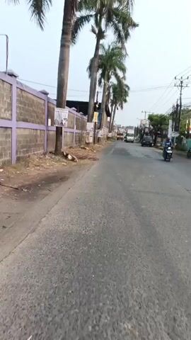 A first-person perspective video shows a person riding a motorcycle down a paved road lined with buildings and palm trees. The road is in a state of disrepair with visible cracks and patches. On the left side of the road, there is a low brick wall with purple trim, and various posters are attached to poles along the wall. A few piles of dried palm fronds are also visible. On the right side of the road, there are more buildings, some with signs, and utility poles with electrical wires. Several vehicles are seen on the road, including trucks and smaller cars, as well as other motorcycles. The sky is overcast.