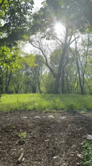 Spring afternoon park scenes documented in Sofia, Bulgaria