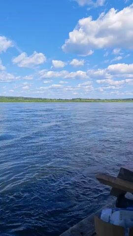This is a vertical, first-person video of a body of water with a tree-lined shore in the distance under a bright blue sky with white clouds. The camera appears to be on a boat or dock, as evidenced by the presence of wooden planks and a cardboard box with white items in the lower right corner of the frame. The water is blue and appears to be in motion with small waves. The sky is clear with scattered white clouds. The shore is covered in green trees and vegetation. The video is approximately 4 seconds long.