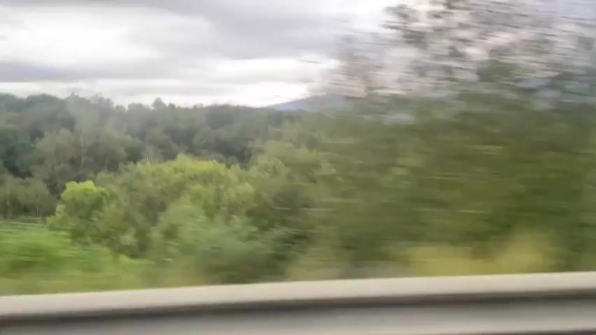 This video shows a view from a moving vehicle, likely a car or bus. The camera is positioned to capture a landscape dominated by rolling hills covered in dense green trees. In the distance, a range of mountains can be seen under a cloudy, overcast sky. The foreground features a metal guardrail, blurred due to the motion of the vehicle. The overall impression is of a scenic drive through a wooded, mountainous region.
