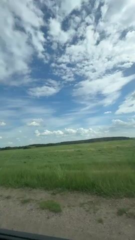 The video captures a bright, sunny day with a clear blue sky adorned with scattered, fluffy white clouds. A vast, green field stretches out, reaching to a distant tree line. The perspective suggests the view is from a low angle, likely from a roadside, with a gravelly edge visible at the bottom of the frame. No people, objects, actions, or interactions are directly observed in the video.