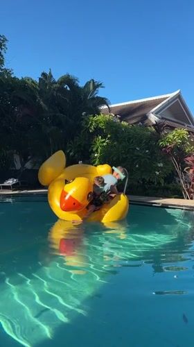 Inflatable duck flip at a Koh Samui pool