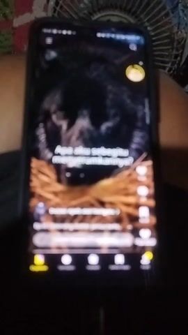 The video shows a person holding a smartphone displaying a video with Indonesian subtitles. The video content features a woman and an older man in traditional attire. The woman speaks the line "Jangan panik," which translates to "Don't panic." The phone screen also displays elements of the app interface, including like counts, comments, and navigation icons at the bottom. The background is blurred, suggesting the focus is on the phone screen.