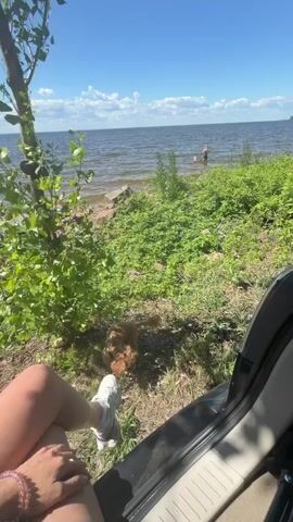 The video begins with a close-up of a person's legs and a small, fluffy dog on a leash. The camera then pans to a scenic view of a body of water under a blue sky with scattered white clouds. Green foliage and rocks line the shore. In the distance, two figures can be seen in the water. The camera continues to pan across the water and foliage, with the leaves of a tree in the foreground obscuring parts of the view. The scene appears to be a sunny day at a lake or ocean.