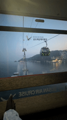 Tourist enjoys Busan cable car ride and seafood dining
