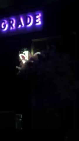 A neon sign spelling "GRADE" in purple is visible in the upper left of the frame. Below and to the right of the sign, a cluster of artificial flowers or foliage is illuminated by a light source. A glowing pink and white object, resembling a stylized butterfly or flower, is positioned within the foliage. The background is dark, with a window or opening visible behind the foliage. The overall scene appears to be outdoors at night, possibly in front of a business or establishment. The video is very short and consists of a still frame.
