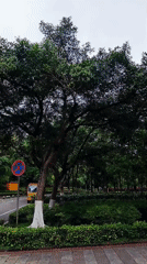 Two people walk tree-lined pathway in Chongqing tech zone