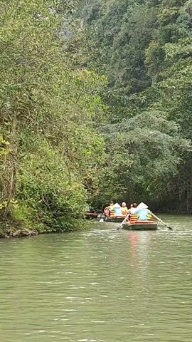 A tranquil scene unfolds as two rowboats glide along a verdant river, each carrying passengers donned in orange life vests. The boats navigate towards the riverbank, where a thick forest flourishes, its dense foliage creating a natural canopy. The water reflects a muted green hue, mirroring the surrounding greenery and suggesting a calm, overcast day. One of the boaters wears a traditional conical hat, adding a cultural element to the serene landscape. The focus remains on the gentle movement of the boats and the lush environment enveloping them.