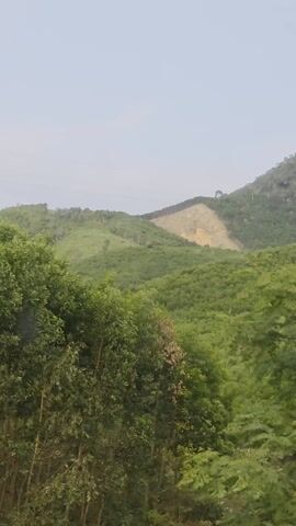 The video shows a mountainous landscape with lush green trees covering the hills. In the foreground, there are trees and a glimpse of buildings.  A large patch of exposed, lighter-colored earth is visible on one of the hills in the distance, contrasting with the surrounding greenery.  The sky is overcast. The camera appears to be in motion, possibly from a moving vehicle.
