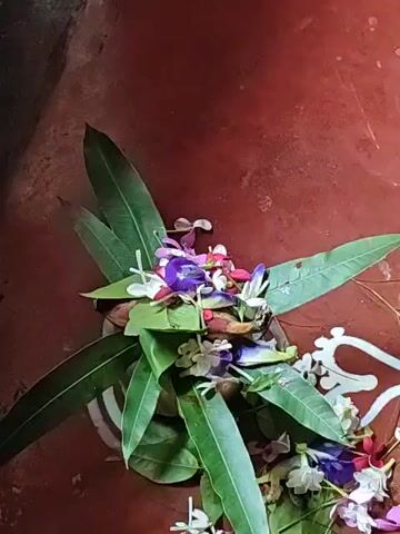 A close-up, overhead shot focuses on an offering of mango leaves and flowers, possibly for a religious ceremony. The leaves are a deep green, arranged in a circular pattern around a central cluster of small, delicate flowers in shades of purple, white, and pink. The flowers appear to be of different varieties, with some resembling butterfly pea flowers and others being small, star-shaped blossoms. The arrangement rests on a dark, textured surface, likely the floor or a ceremonial platform. The lighting is dim, creating a warm, muted tone. The background is out of focus, but hints of red and brown suggest a rustic or traditional setting. There are no people visible in the frame, and no actions are taking place other than the static presentation of the offering. The overall impression is one of reverence and spiritual devotion.