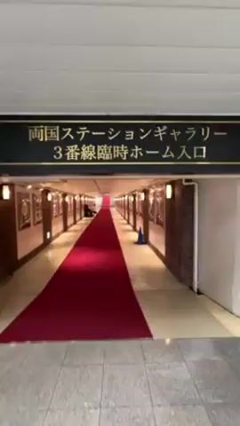 The video shows a hallway covered by a long red carpet. There are framed pictures lining the walls on both sides. A person is sitting at the end of the hallway. The hallway appears to be indoors and leads to the entrance of a train station gallery.