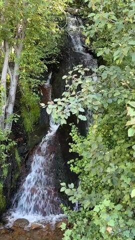 The video shows a narrow waterfall cascading down a moss-covered rocky incline, surrounded by lush green foliage and trees. The water is white and frothy as it tumbles over the rocks, creating a serene natural scene. The lighting suggests it is daytime, possibly with dappled sunlight filtering through the leaves. There are no people or man-made objects visible in the frame.