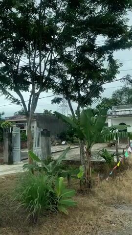 The video shows a panning view of a residential area with a prominent cell tower in the background. The scene features several houses with fences, trees, and power lines. A dirt road runs through the foreground, with some areas of grass and vegetation. The sky is overcast. The video captures a rural or semi-rural setting. No people are visible in the video.